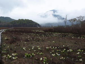 20110614_422shuusei.jpg