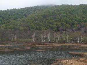 20110614_435shuusei.jpg