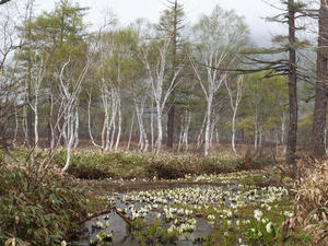 20110614_439shuusei.jpg