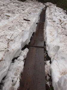 20110614_459shuusei.jpg