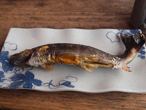 20110614_463shuusei.jpg