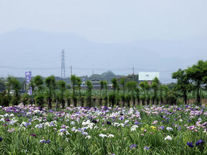 P6148027shuusei.jpg