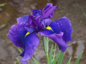 P6148042shuusei.jpg