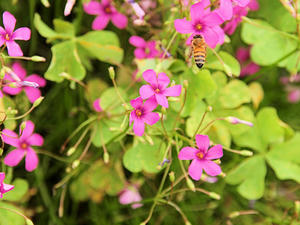 P6148056shuusei.jpg