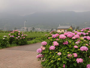 P6148091SHUUSEI.jpg
