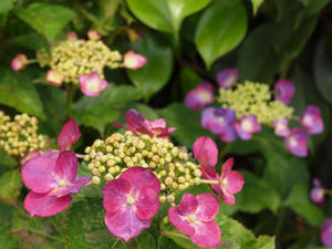 P6148098shuusei.jpg