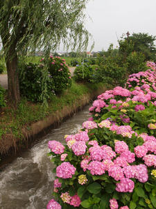 P6148115shuusei.jpg