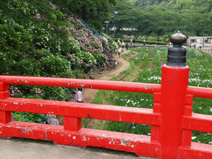 P6148140shuusei.jpg