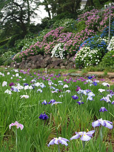 P6148165shuusei.jpg