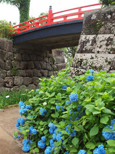 P6148185shuusei.jpg
