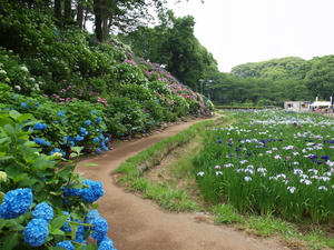 P6148188shuusei.jpg