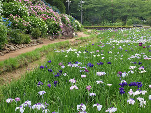 P6148195shuusei.jpg