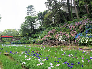 P6148215shuusei.jpg