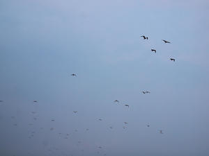 P6148223shuusei.jpg