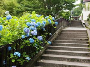P6158246shuusei.jpg