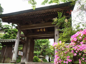 P6158365shuusei.jpg