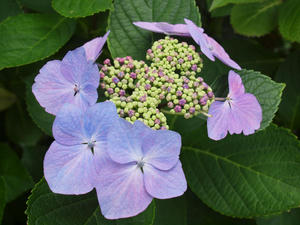 P6158373shuusei.jpg