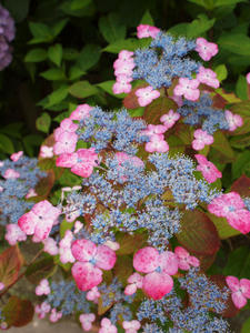 P6158391shuusei.jpg