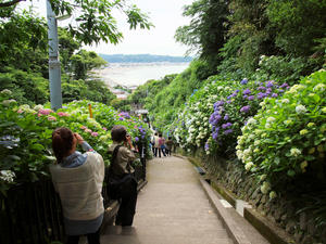 P6158352shuusei.jpg