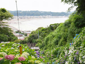 P6158351shuusei.jpg