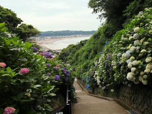 P6158349shuusei.jpg