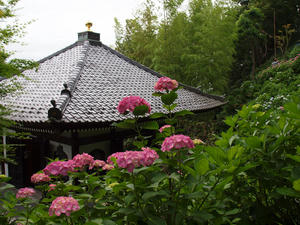 P6158411shuusei.jpg
