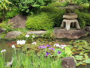 P6158396shuusei.jpg
