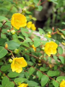 P6158402shuusei.jpg