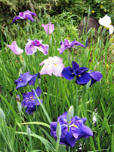 P6158407shuusei.jpg