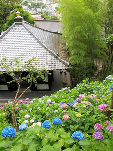 P6158421shuusei.jpg
