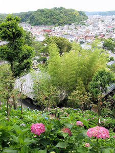 P6158438shuusei.jpg