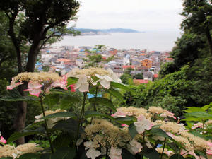 P6158441shuusei.jpg