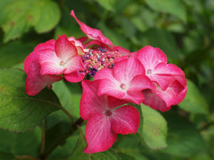P6158468shuusei.jpg