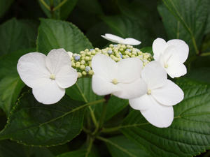 P6158482shuusei.jpg