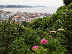P6158499shuusei.jpg