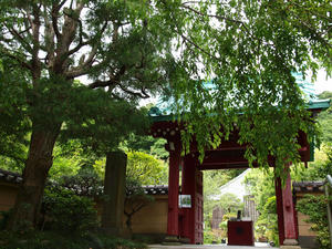 P6158539shuusei.jpg