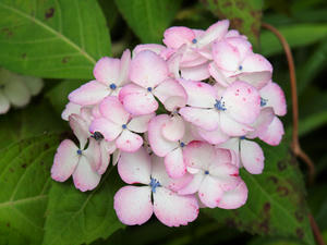 P6158551shuusei.jpg