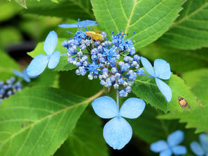 P6158556shuusei.jpg