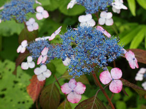 P6158569shuusei.jpg