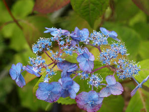 P6158592shuusei.jpg