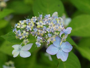 P6158619shuusei.jpg