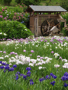P6158735shuusei.jpg