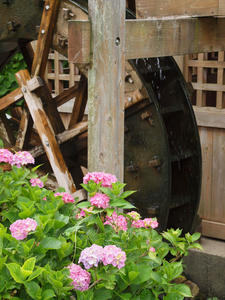 P6158745shuusei.jpg