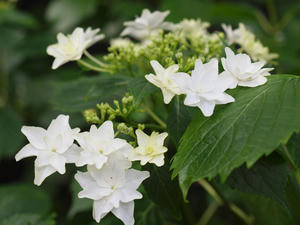 20110630_29shuusei.jpg