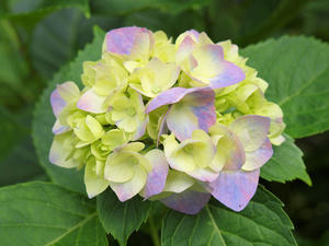 20110630_31shuusei.jpg