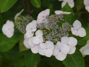 20110630_42shuusei.jpg