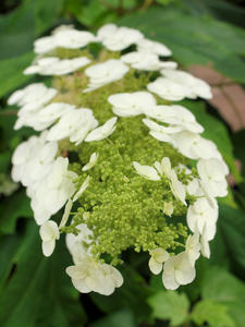 20110630_44shuusei.jpg