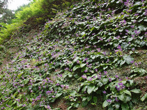 20110630_7shuusei.jpg