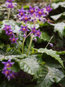 20110630_11shuusei.jpg
