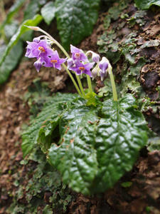 20110630_16shuusei.jpg